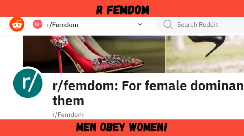 R Femdom - Reddit Community Where Men Obey Women!